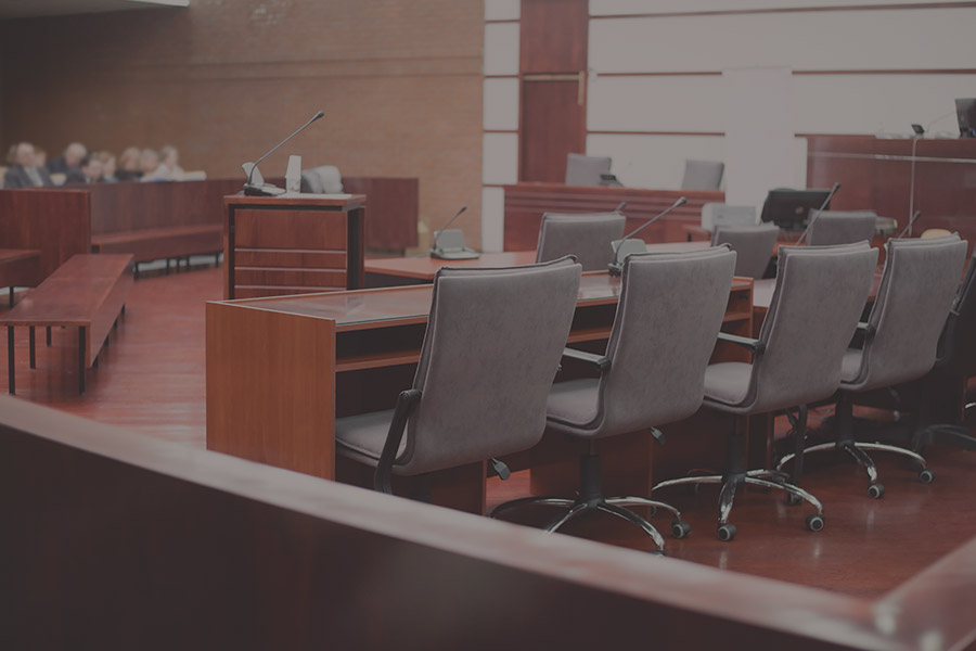 Expert Witness